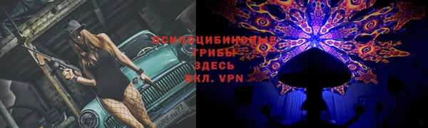 бошки Богородицк