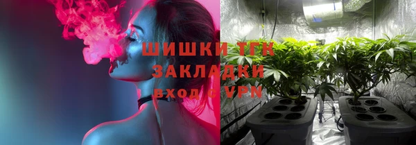 apvp Надым