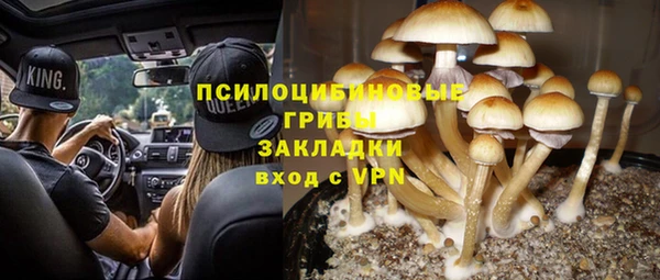 каннабис Каменка