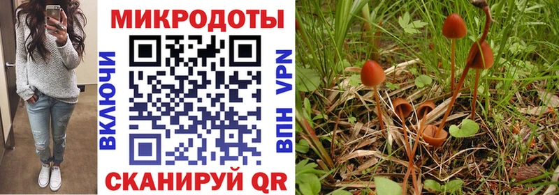 Галлюциногенные грибы мицелий  как найти наркотики  кракен маркетплейс  Костомукша 