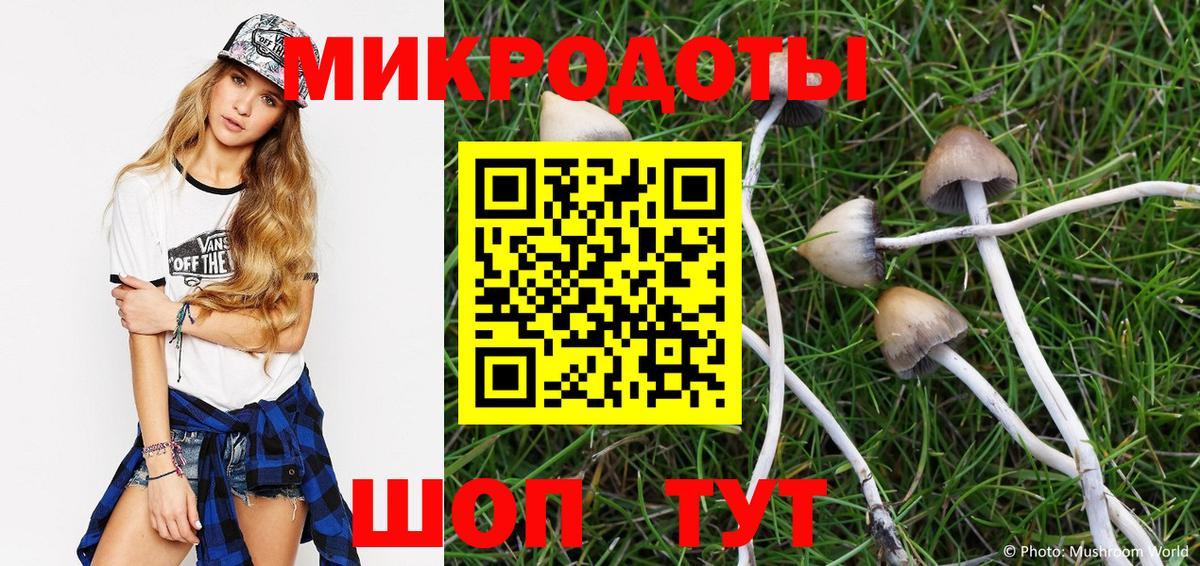 закладки  Вход с VPN  Костомукша  Галлюциногенные грибы MAGIC MUSHROOMS 
