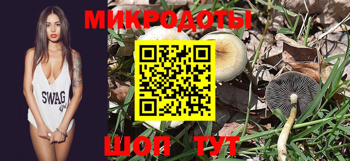 Галлюциногенные грибы Cubensis Костомукша